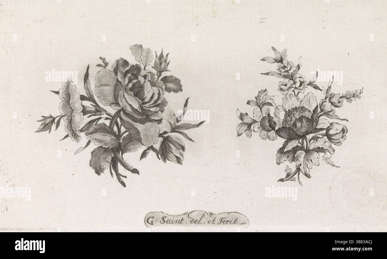 Saint, Guillaume, Saint, Rose et une autre fleur, frais - estampillé, impression, impression dessin, dessin, dessins, hauteur 100 mm, largeur 174 mm, 1730 - 1780-05-05, graveur, 1740 - 1780, papier, dessinateur intermédiaire » Banque D'Images