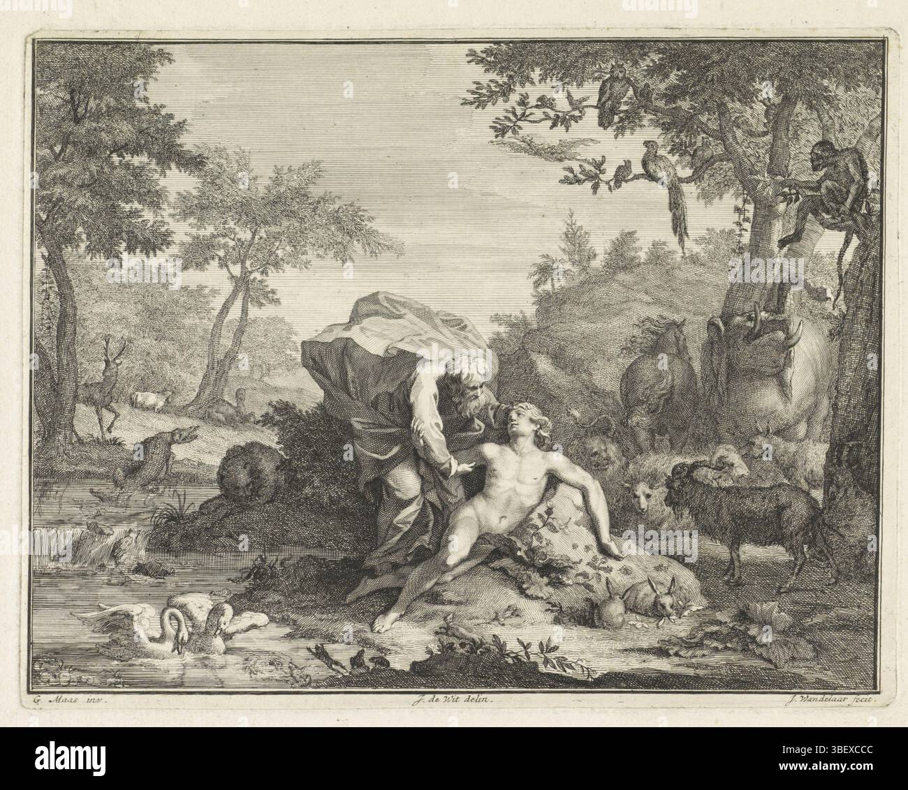 Anvers, Maes, Godfried, Amsterdam, Wit, Jacob de, Noord-Nederlands, Wandelaar, Jan, création d'Adam, Anvers, verso gauche en bas - estampillé, dans la cour d'Eden Adam repose sur une pierre avec Dieu, qui le soutient. Ils sont entourés de deux cygnes, un crocodile, un cerf, une vache, un cheval, un dromedaris, un lion, un mouton, un bélier, un éléphant, une chèvre, quelques grenouilles, deux lapins, un singe et un hibou., empreinte, hauteur 186 mm, largeur 241 mm, Nord des pays-Bas, 1690-04-14 - 1759-03-26, graveur, 1710 - 1759, papier, gravure, gravure, gravure (procédé d'impression), 1695 - 1754-11-12, dessinateur intermédiaire, arrière Banque D'Images