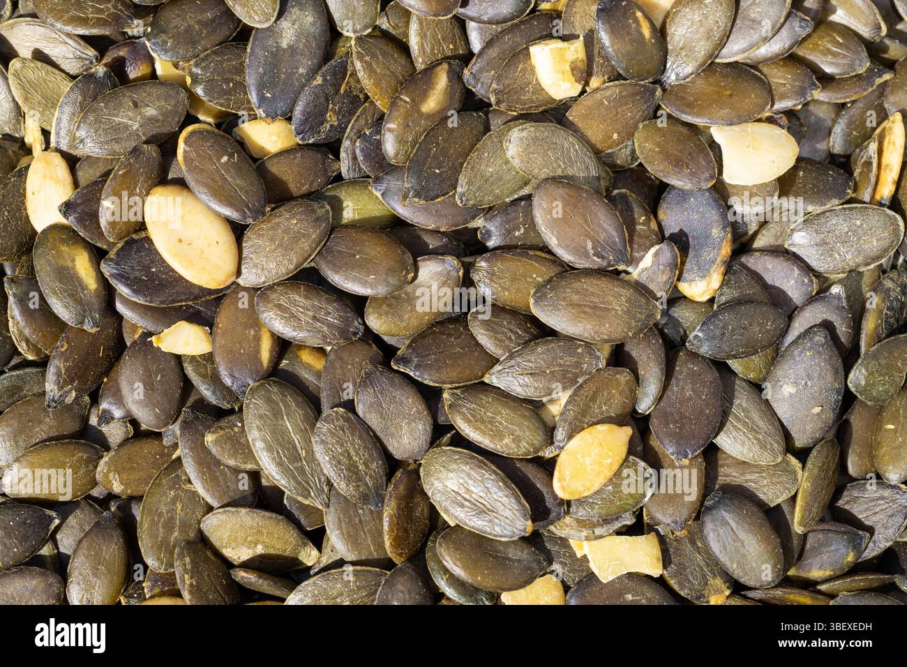 Gros plan sur la texture des graines de citrouille vert foncé Banque D'Images