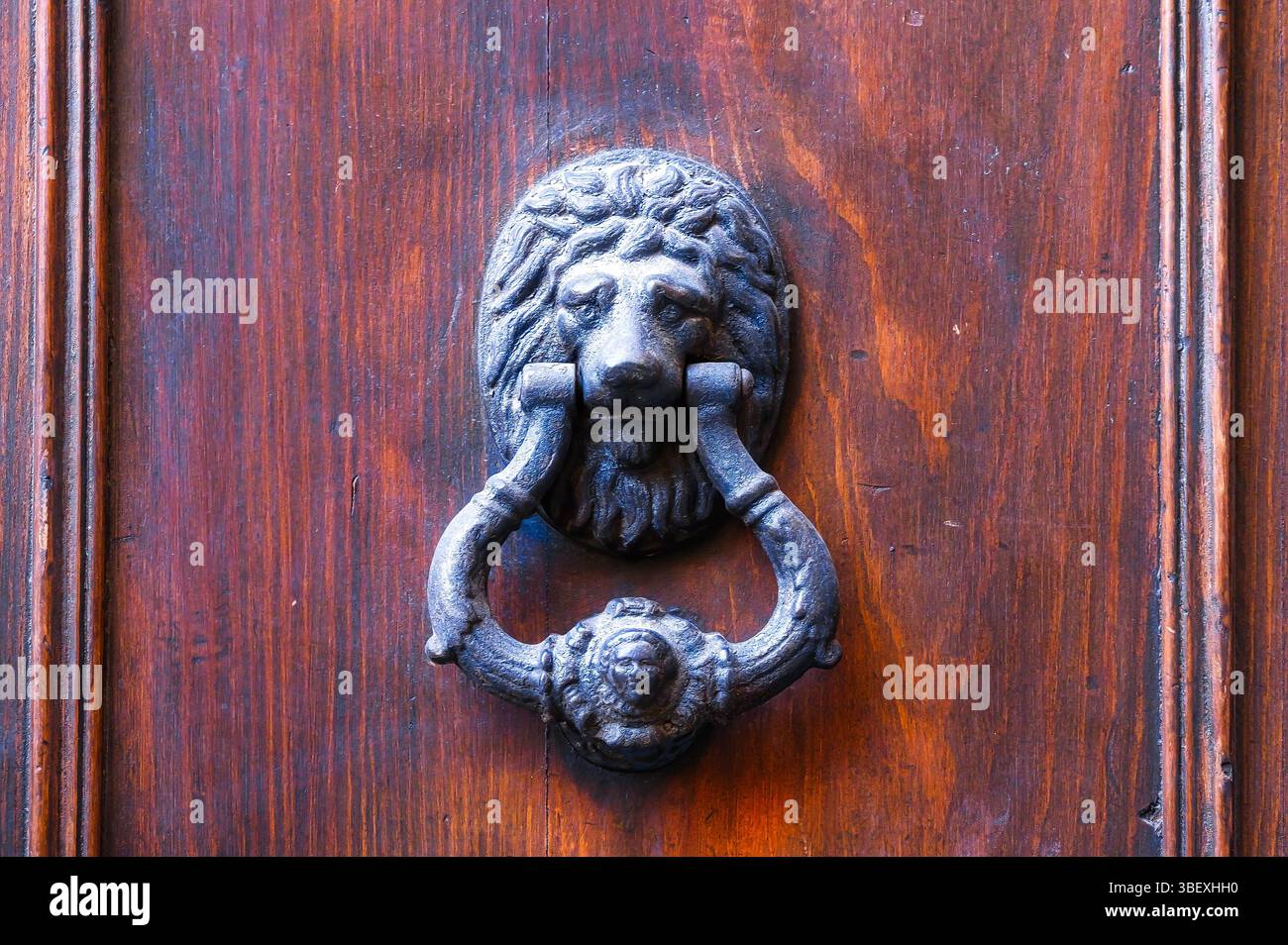 Ancien frappeur de porte en métal en forme de tête de lion. Banque D'Images