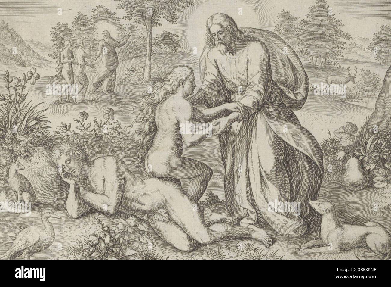 Anvers, Jode, Gerard de, Broeck, Crispijn van den, Sadeler, Johann (i), Thesaurus sacrarum historiaru[m] Veteris testame[n]TI, elega[n]tissimis imaginibus expressu[m] excelle[n]tissimoru[m] in HAC Arte viroru[m] opera : nu[n]c primu[m] in luce[m] editus, Historia creationis mundi, création et chute, création d'Eva, Anvers, Dieu le Père crée Ève du côté de l'Adam endormi et l'aide à terminer. Laissé à l'arrière-plan, Dieu pointe Adam et Ève à l'arbre de la connaissance du bien et du mal. Juste au premier plan un chien. En bas se trouve une référence au texte de la Bible en latin. Prent est partie o Banque D'Images