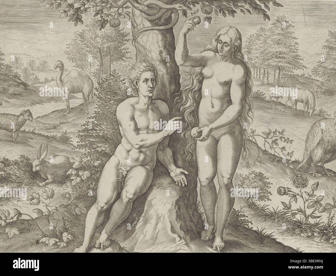 Anvers, Jode, Gerard de, Broeck, Crispijn van den, Sadeler, Johann (i), Thesaurus sacrarum historiaru[m] Veteris testame[n]TI, elega[n]tissimis imaginibus expressu[m] excelle[n]tissimoru[m] in HAC Arte viroru[m] opera : nu[n]c primu[m] in luce[m] editus, Historia creationis mundi, création et automne, Ève tente Adam de manger de l'arbre, Eve, et de la pomme d'un arbre, et de la connaissance du mal. Dans l'arbre le serpent. Différents animaux en arrière-plan. En bas se trouve une référence au texte de la Bible en latin. Prent fait partie d'un album., impression, feuille d'albumsheet, impressions, hauteur 198 Banque D'Images