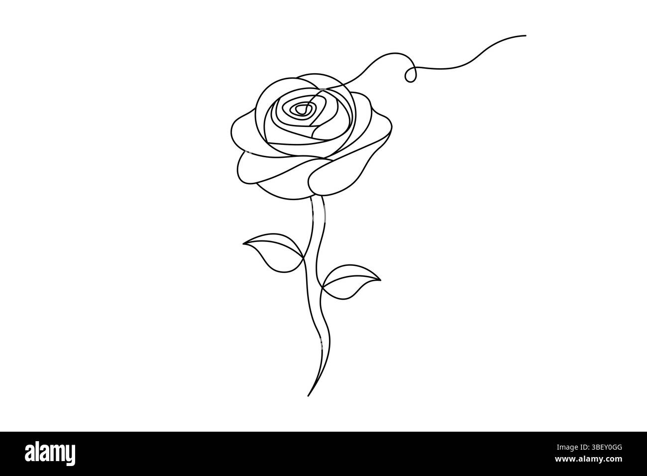 Fleur de rose dessin de ligne continue élégant une ligne Art d'une rose minimaliste. illustration vectorielle Illustration de Vecteur