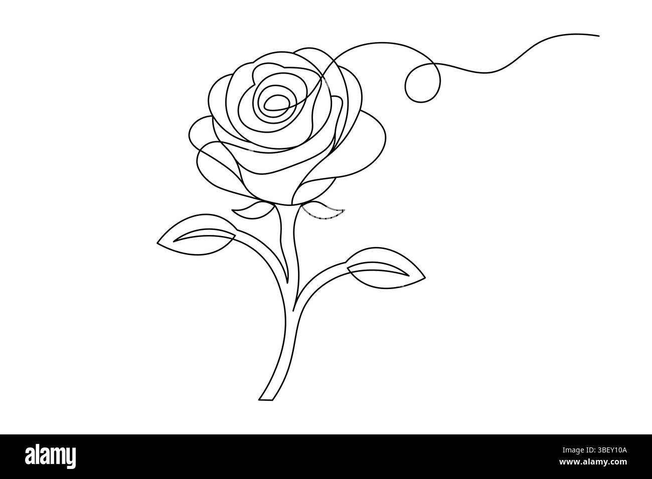 Fleur de rose dessin de ligne continue élégant une ligne Art d'une rose minimaliste. illustration vectorielle Illustration de Vecteur