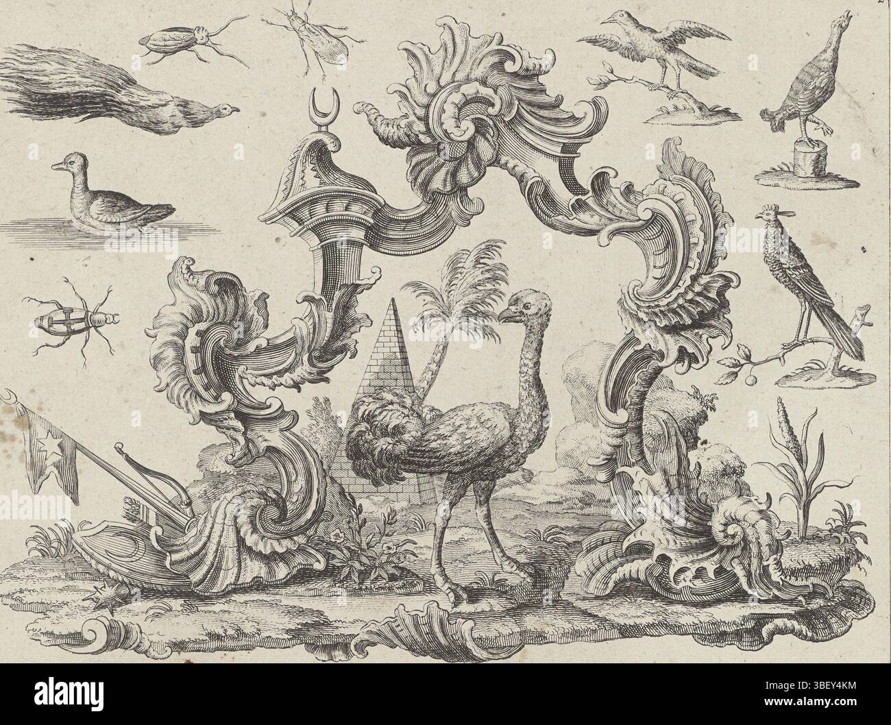 Inconnu, Augsbourg, Engelbrecht, Martin, Baur, Johann, Degmair, Philipp Andreas, les quatre continents, l'Afrique, inconnu, verso - estampillé, sous un arc de rocailles se dresse une autruche. Au loin un palmier et une pyramide. L'arche est entourée d'oiseaux, d'insectes, d'armes et d'une faucille. En haut à gauche 162 numérotés., impression, impressions d'ornement, impressions, estampillé verso, hauteur 185 mm, largeur 238 mm, 1711 - 1771, graveur, 1719 - 1749, papier, gravure, allemand, 1701 - 1800, dessinateur intermédiaire, by Drawing, publication (événement), publication, 1684-09-16 - 1756-01-18, éditeur, fournisseur de privilège Banque D'Images