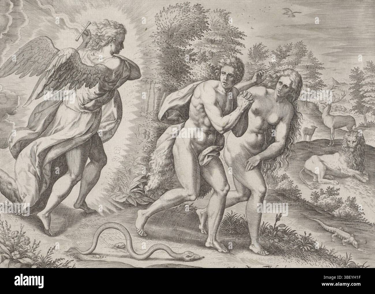 Anvers, Jode, Gerard de, Broeck, Crispijn van den, Anvers, Sadeler, Johann (I), création et chute, disparition du Paradis, Anvers, expulsion du Paradis, verso au milieu - estampillés, Adam et Ève couvrent leur nudité tout en étant chassés de la Terre Paradise par l'ange avec l'épée enflammée. À côté d'eux, le serpent rampant. En arrière-plan différents animaux. La septième impression d'une série en huit parties sur l'histoire de la création., impression, verso milieu bas - estampillé, hauteur 204 mm, largeur 272 mm, Sud-néerlandais, 1550 - 1600-08, graveur, 1575 - 1575, papier, gravure, gravure (print Banque D'Images