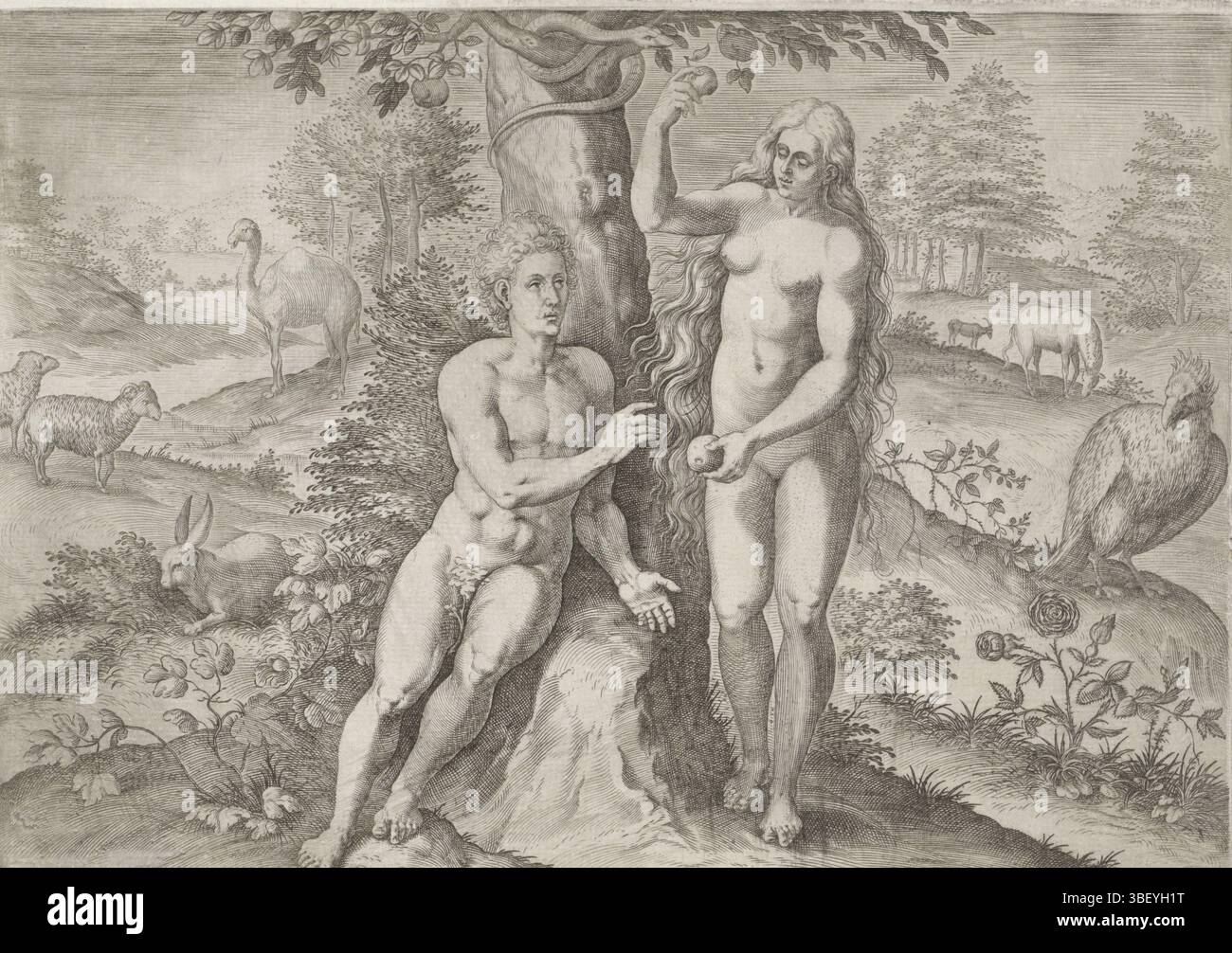 Anvers, Jode, Gerard de, Broeck, Crispijn van den, Anvers, Sadeler, Johann (I), création et chute, Eve séduit Adam, verso au milieu - estampillé, Eve offre à Adam un fruit à la pomme de l'arbre de la connaissance du bien et du mal. Dans l'arbre le serpent. Différents animaux en arrière-plan. Le cinquième tirage d'une série en huit parties sur l'histoire de la création., tirage, verso milieu bas - estampillé, hauteur 198 mm, largeur 271 mm, Sud-néerlandais, 1550 - 1600-08, graveur, 1575 - 1575, papier, gravure, gravure (procédé d'impression), conception de travail, 1524 - 1591, après conception, publication (événement), publication, Banque D'Images