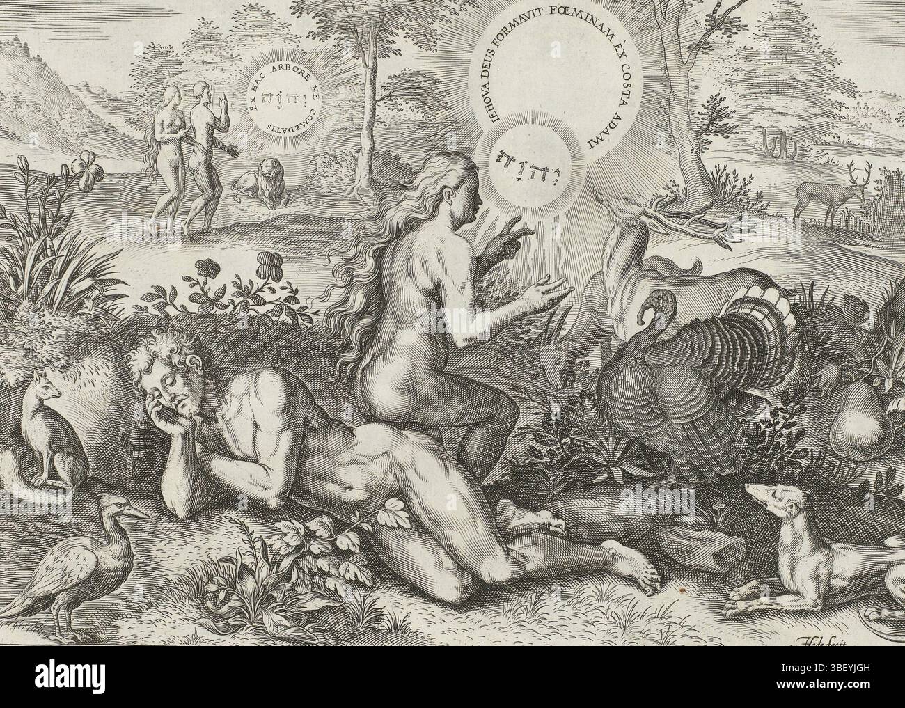 Amsterdam, Visscher, Claes Jansz. (II), Broeck, Crispijn van den, Sadeler, Johann (I), Theatrum Biblicum hoc est Historiae Sacrae Veteris et Novi Testamenti Tabulis Aeneis Expressae, création et chute, création d'Eve, Amsterdam, Dieu le Père sous la forme du tétragram crée Eve du côté de Adam endormi. Laissé à l'arrière-plan, Dieu pointe Adam et Ève à l'arbre de la connaissance du bien et du mal. Juste au premier plan un chien. En bas se trouve une référence au texte de la Bible en latin. Cette impression fait partie d'un album., impression, feuille d'albumsheet, impressions, hauteur 195 mm, largeur 269 mm, Zuid-Nederland Banque D'Images
