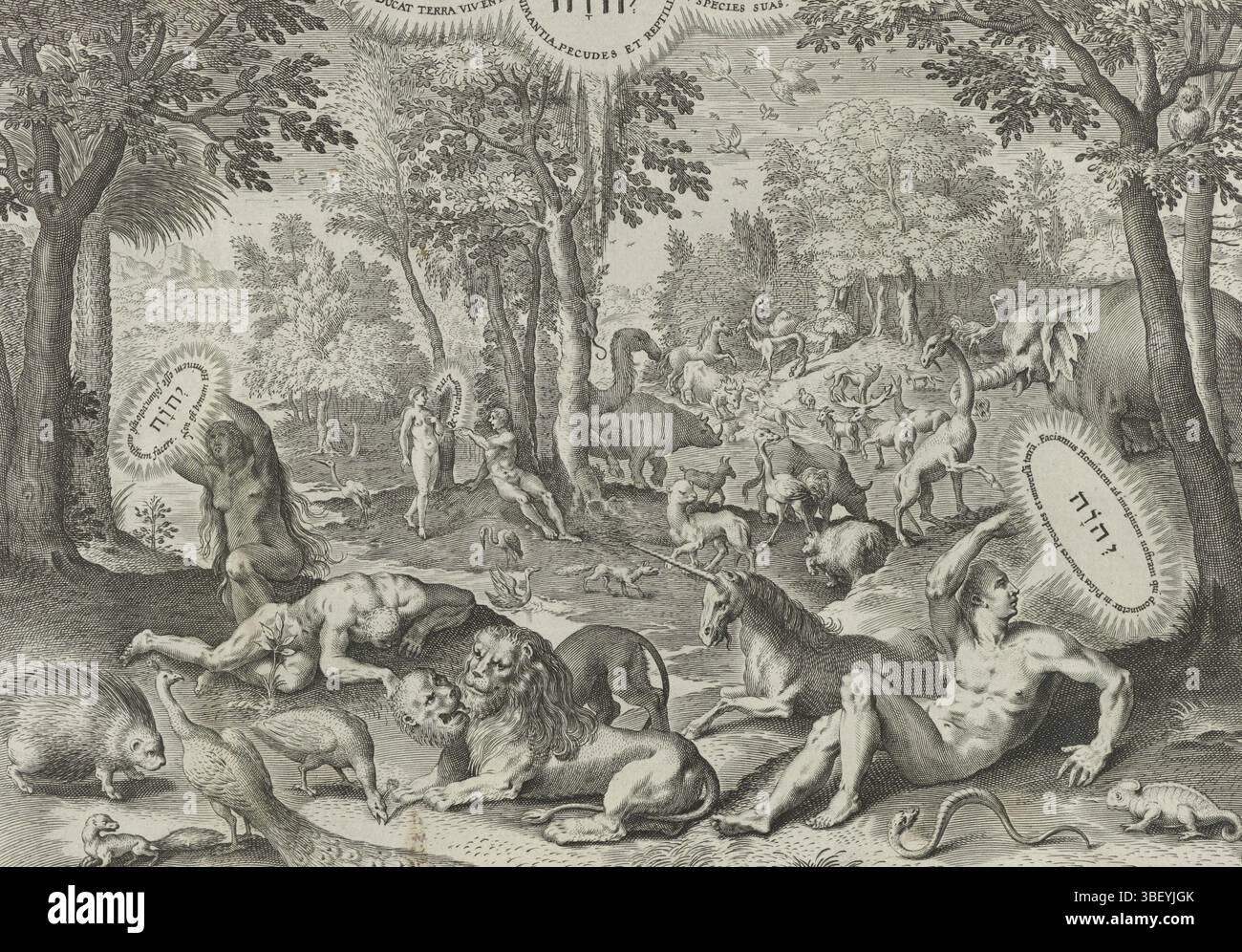Amsterdam, Visscher, Claes Jansz. (II), vos, Maerten de, Sadeler, Johann (I), Theatrum Biblicum hoc est Historiae Sacrae Veteris et Novi Testamenti Tabulis Aeneis Expressae, création du monde, Sixième jour de la création : création d'Adam et Ève, Amsterdam, au milieu des animaux, Adam et Ève sont créés par Dieu le Père sous la forme d'un tétragram. À droite au premier plan, Dieu s'incline devant Adam ; Ève gauche créée à partir de la côte d'Adam. Au milieu deux lions, une licorne et d'autres animaux. Au milieu, à l'arrière-plan, Dieu donne Ève à Adam. Le sixième jour de la création, Dieu créa Adam et Banque D'Images