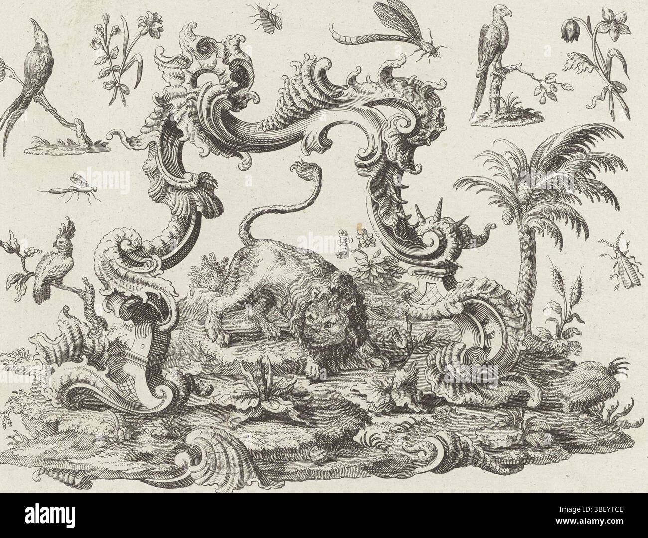 Inconnu, Augsbourg, Engelbrecht, Martin, Baur, Johann, Degmair, Philipp Andreas, les quatre continents, l'Asie, inconnu, verso - estampillé, Lion sous un arc de rocailles. Autour de l'arc oiseaux, fleurs et insectes. Un palmier à droite. En haut à gauche 163 numérotés., impression, impressions ornementales, impressions, hauteur 185 mm, largeur 240 mm, 1711 - 1771, imprimeur, 1719 - 1749, papier, gravure, allemand, 1701 - 1800, dessinateur intermédiaire, par dessin, publication (événement), publication, 1684-09-16 - 1756-01-18, éditeur, fournisseur de privilège Banque D'Images