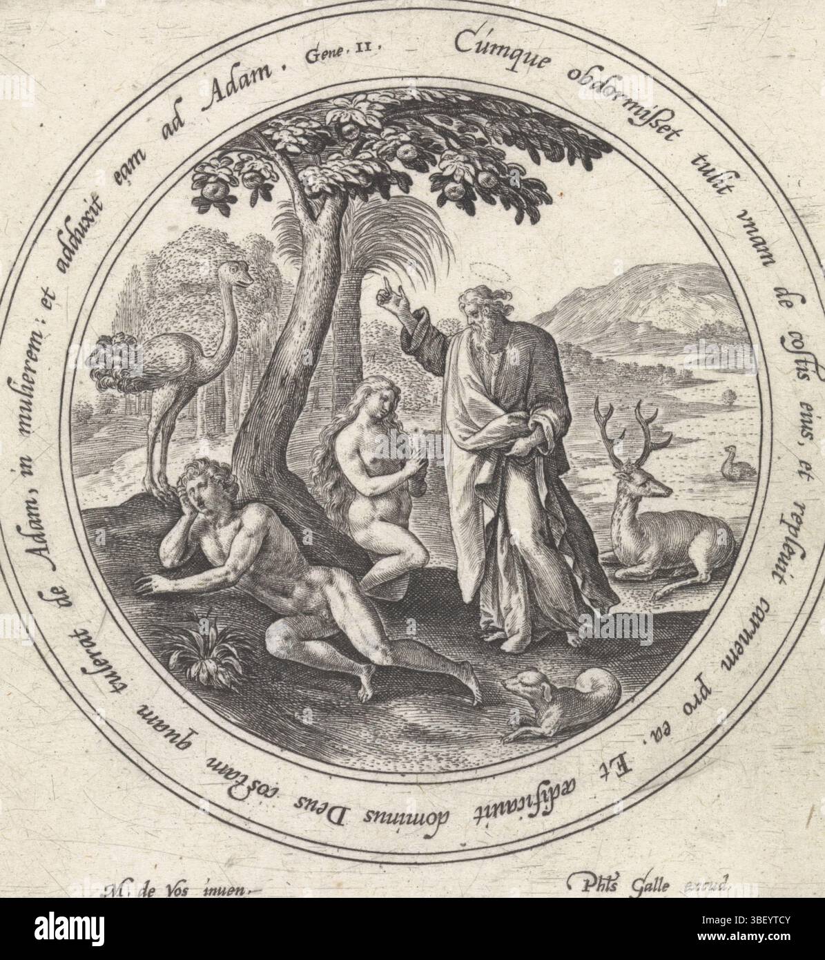 Galle, Philips, vos, Maerten de, Anvers, passe, Crispijn van de (I), histoire d'Adam et Eve, la création d'Eve, recto - manuscrit à l'encre brune, Dieu laisse tomber Adam dans un sommeil profond pendant qu'il enlève sa côte et crée Eve. Dans la bordure du cadre une citation biblique de Gen. en latin., impression, verso - estampillé, 2, hauteur 100 mm, largeur 94 mm, 1564 - 1637, imprimeur, 1580 - 1588, papier, gravure, gravure (procédé d'impression), conception d'œuvres, Zuid-Nederlands, 1532 - 1603-12-04, After design of, publication (événement), publication, 1537 - 1612-03-29, éditeur Banque D'Images