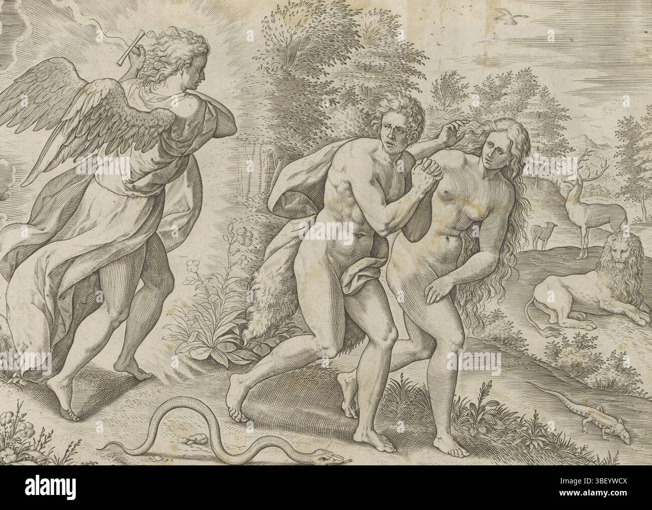 Alkmaar, Schabaelje, Jan Philipsz, Amsterdam, Visscher, Claes Jansz. (II), Broeck, Crispijn van den, Sadeler, Johann (I), den Grooten Figuer-Bibel, création et chute, Van Adam et Ève, expulsion du Paradis, expulsion du Paradis, en bas à droite - écrit à la main à l'encre brune, Adam et Ève sont chassés du paradis par un ange avec une épée enflammée. À côté d'eux, le serpent rampant. Juste en arrière-plan, un lion et un cerf. En bas se trouve une référence au texte de la Bible en latin. Ce tirage fait partie d'un album., tirage, feuille d'albumsheet, tirages, 13 hauteur 200 mm, largeur 270 mm, Zuid-Nederlands, 1550 - 16 Banque D'Images