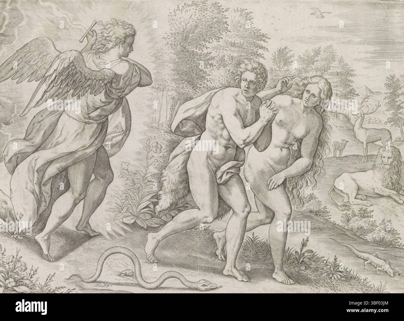 Anvers, Jode, Gerard de, Broeck, Crispijn van den, Anvers, Sadeler, Johann (i), Thesaurus sacrarum historiaru[m] Veteris testame[n]TI, elega[n]tissimis imaginibus expressu[m] excelle[n]tissimoru[m] in hac Arte viroru[m] opera : nu[n]c primu[m] dans luce[m] éditus, création et chute du péché, expulsion du Paradis, Anvers, expulsion du paradis, expulsion du paradis, et de l'ange sont chassés par Adam d'un jour d'un ange. À côté d'eux, le serpent rampant. Juste en arrière-plan, un lion et un cerf. En bas se trouve une référence au texte de la Bible en latin. Cette impression fait partie d'un album., impression, Banque D'Images