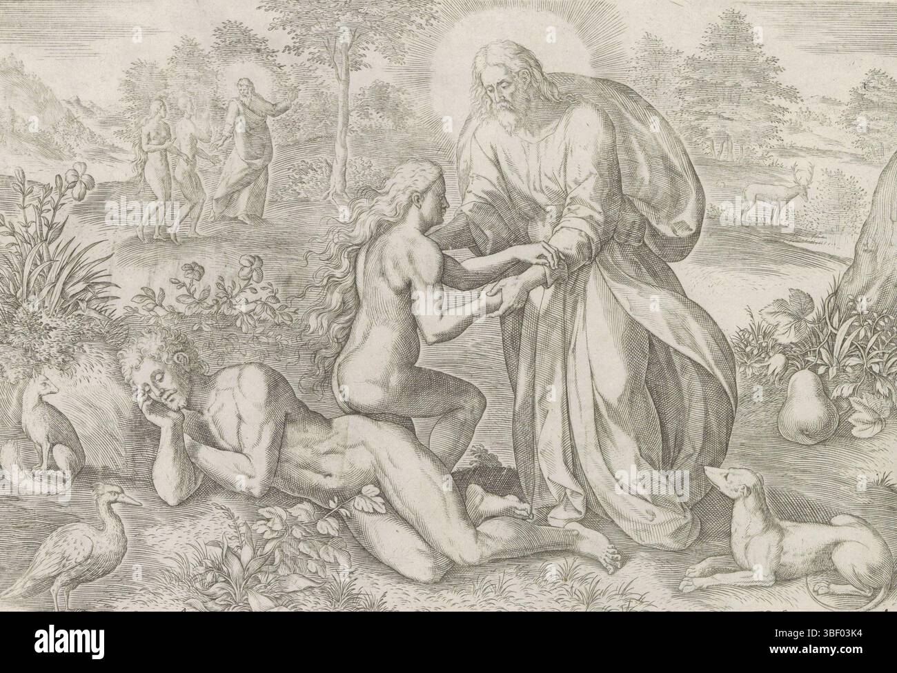 Anvers, Jode, Gerard de, Broeck, Crispijn van den, Anvers, Sadeler, Johann (i), Thesaurus sacrarum historiaru[m] Veteris testame[n]TI, elega[n]tissimis imaginibus expressu[m] excelle[n]tissimoru[m] in hac Arte viroru[m] opera : nu[n]c primu[m] in luce[m] editus, création et chute du péché, création d'Eva, Anvers, aide à sortir du côté de Dieu Eve. Laissé à l'arrière-plan, Dieu pointe Adam et Ève à l'arbre de la connaissance du bien et du mal. Juste au premier plan un chien. En bas se trouve une référence au texte de la Bible en latin. Cette impression fait partie d'un Banque D'Images