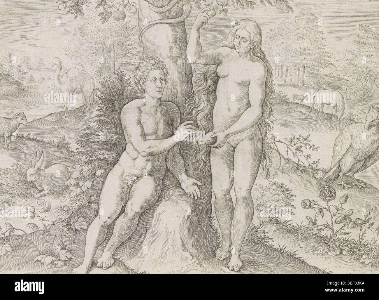 Anvers, Jode, Gerard de, Broeck, Crispijn van den, Antwerpen, Sadeler, Johann (i), Thesaurus sacrarum historiaru[m] Veteris testame[n]TI, elega[n]tissimis imaginibus expressu[m] excelle[n]tissimoru[m] in hac Arte viroru[m] opera : nu[n]c primu[m] dans luce[m] editus, création et sinfall, Ève tente Adam de manger l'arbre, Anvers du bien. Dans l'arbre le serpent. Différents animaux en arrière-plan. En bas se trouve une référence au texte de la Bible en latin. Cette impression fait partie d'un album., impression, feuille d'albumsheet, impressions, hauteur 198 mm, largeur 26 Banque D'Images