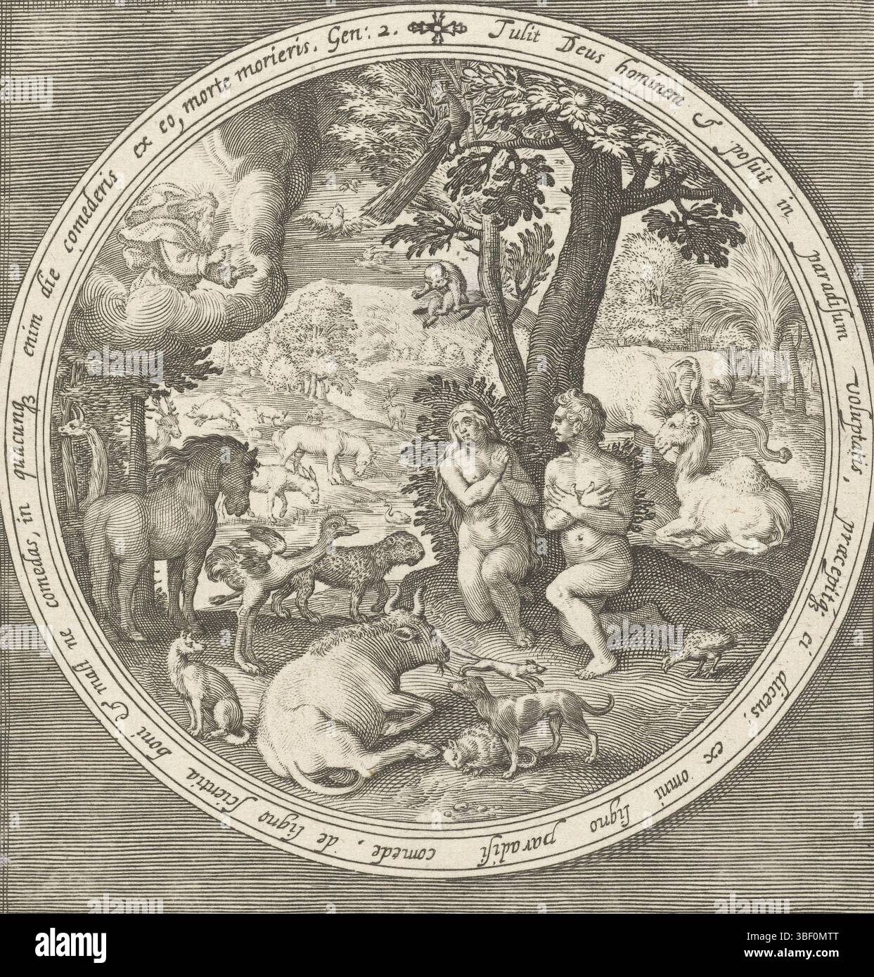 Vos, Maerten de, Nederland, Bruyn, Nicolaes de, de la création à l'expulsion du paradis, Adam et Eve au paradis, pays-Bas, au milieu du verso - estampillé, Adam et Eve s'agenouillent devant l'apparition de Dieu au paradis. En médaillon avec un texte biblique en latin de Genèse 2, à l'intérieur d'un cadre rectangulaire., impression, hauteur 132 mm, largeur 124 mm, néerlandais du Sud, 1571 - 1656-10, graveur, 1581 - 1656, papier, gravure, gravure (procédé d'impression), gravure pointillée, concept de travail, Zuid-Nederlands, 1532 - 1603-12-04 Banque D'Images