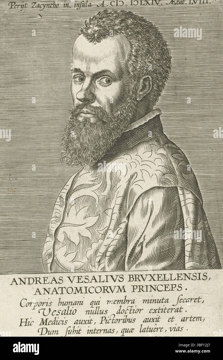 Antwerpen, Galle, Theodoor, Antwerpen, Philips, Arias Montanus, Benedictus, Calcar, Jan Stefan van, Illustrium Galliae Belgicae scriptorum icones et elogi, portraits de célèbres érudits hollandais et flamands, Andreas Vesalivs Brvxellensis, Portrait d'Andreas Vesalius, Anvers, verso au milieu - estampillé, Bruxelles anatom et Docteur. L'impression a une légende latine et fait partie d'une série de célèbres érudits néerlandais et flamands., impression, hauteur 175 mm, largeur 123 mm, Zuid-Nederlands, 1537 - 1612-03-29, graveur, 1604 - 1608, papier, gravure, gravure (procédé d'impression), conception de travail, 1499 - 1550, naa Banque D'Images
