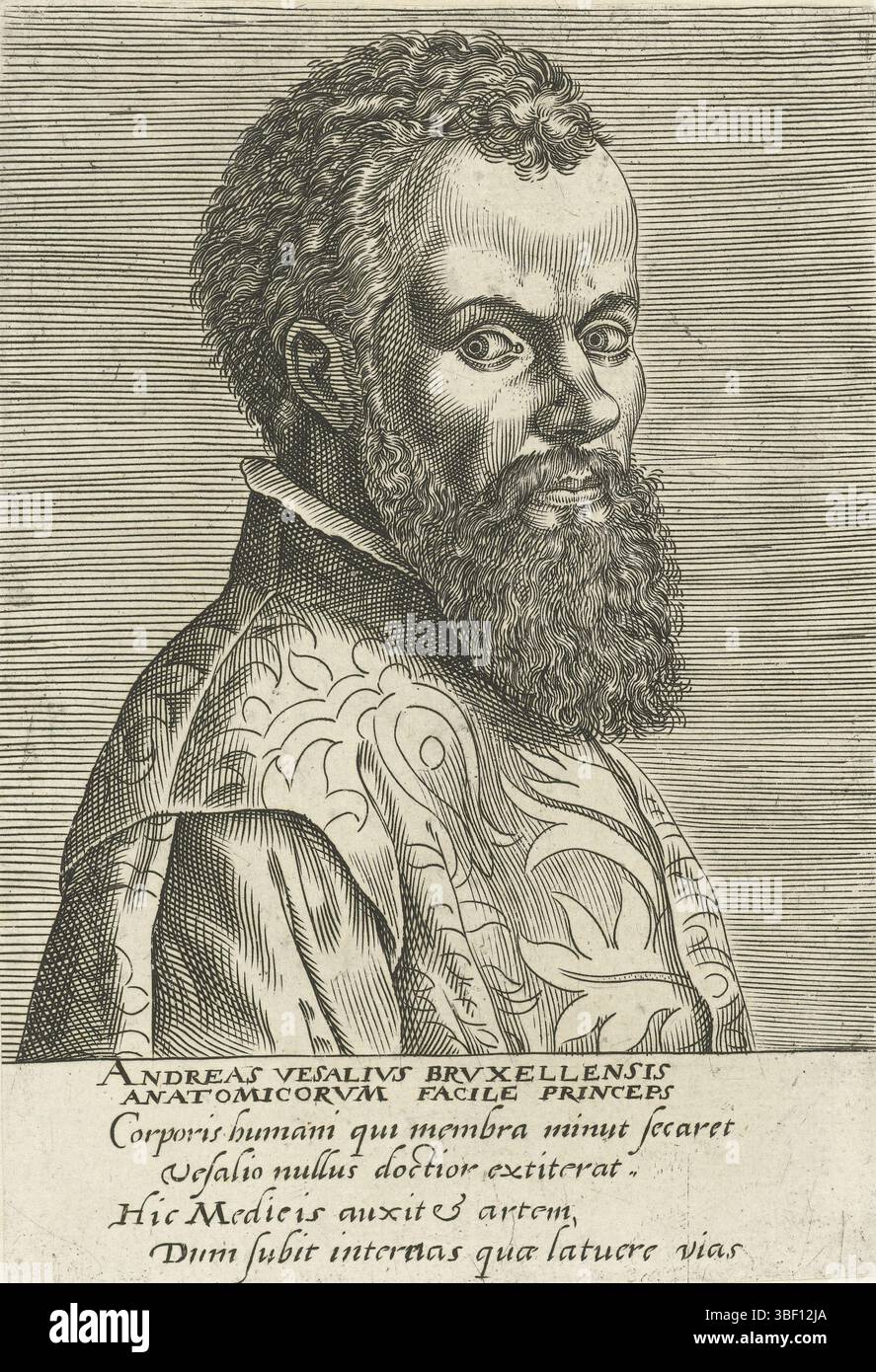 Antwerpen, Galle, Philips, Antwerpen, Arias Montanus, Benedictus, calcar, Jan Stefan van, Andreas Vesalivs Brvxellensis, Portrait d'Andreas Vesalius, Anvers, verso milieu bas - estampillé, anatomiste et médecin bruxellois. L'impression a une légende latine., impression, hauteur 142 mm, largeur 101 mm, concept de travail, Zuid-Nederlands, 1537 - 1612-03-29, NAAR print van, 1572 - 1662, papier, gravure, gravure (procédé d'impression), graveur, 1499 - 1550, 1528 - 1598, schrijver, publication (événement), publication, éditeur Banque D'Images