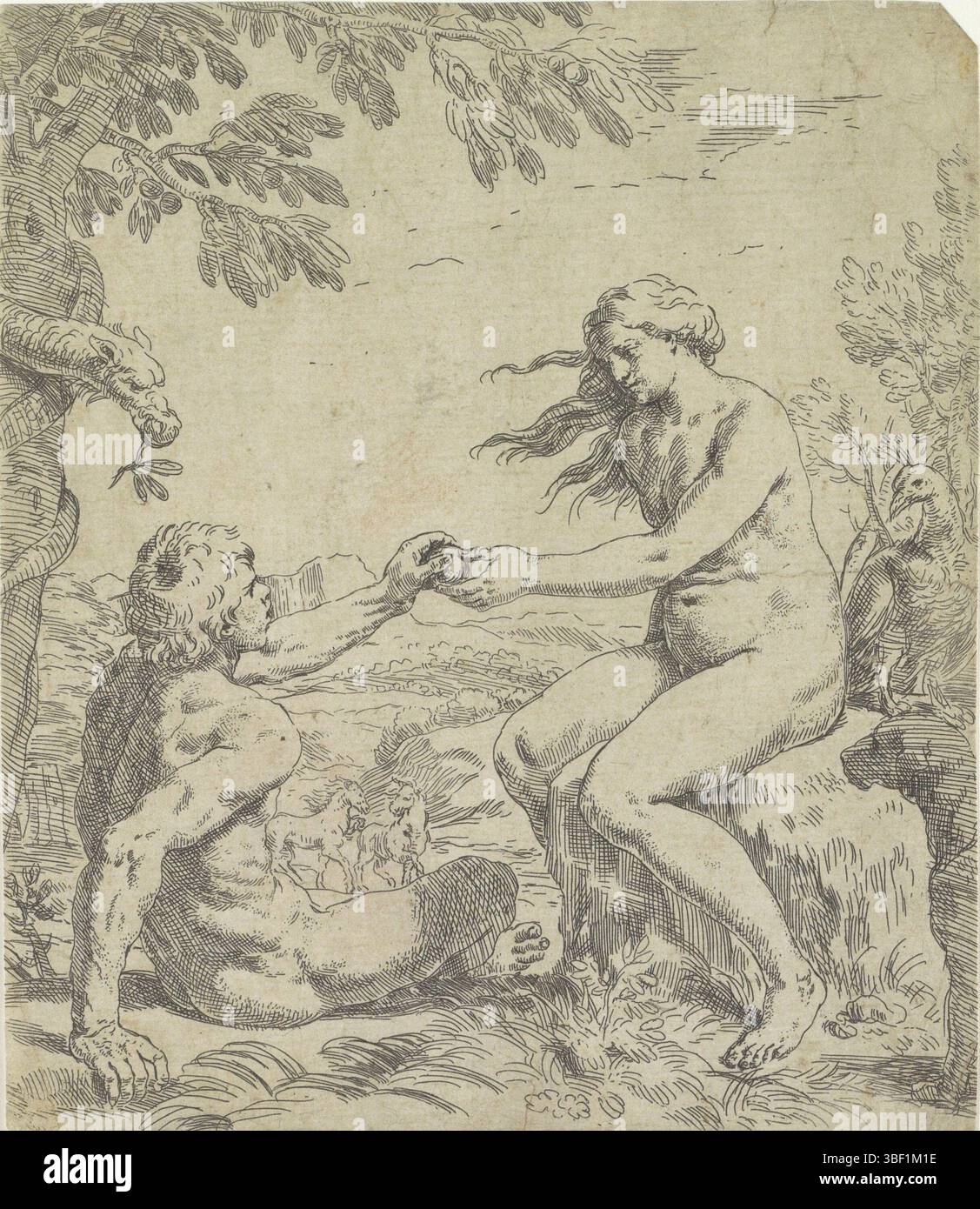 Italie, Cantarini, Simone, séduction d'Adam, Italie, verso - estampillé, Adam et Ève dans le jardin d'Eden. Eve offre la pomme à Adam. A gauche se trouve l'arbre de la connaissance du bien et du mal. Le serpent s'enroule autour de la tige., impression, hauteur 196 mm, largeur 168 mm, italien, 1612-08-21 - 1648-10-15, graveur, 1622 - 1648, papier, gravure, création d'expression Banque D'Images