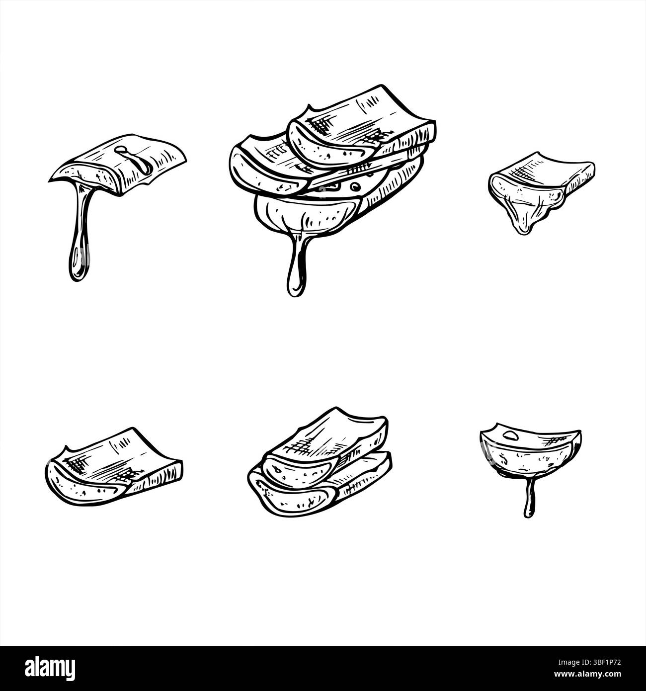 feuilles d'aloès, tranchées avec le vecteur de jeu de jus goutte à goutte illustration isolée peinte par des encres noires. Dessin de gravure de tranches fraîches organiques Illustration de Vecteur