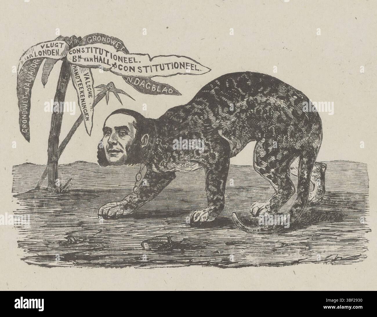 Pays-Bas, Weissenbruch, Isaac, Leopard avec la tête d'un homme (peut-être Floris Adriaan van Hall) dans le désert à côté d'un palmier avec texte, pays-Bas, impression, hauteur 104 mm, largeur 145 mm, néerlandais, 1826-08-27 - 1912-11-13, imprimeur, 1836 - 1912, papier, gravure sur bois Banque D'Images