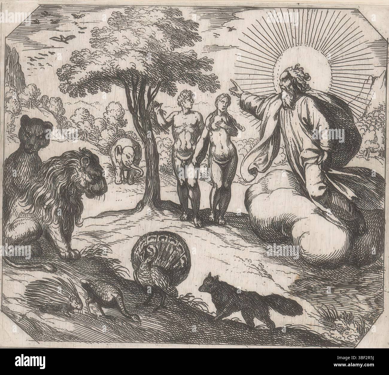 Fox, Maerten de, Bruyn, Nicolaes de, Vatican, Raphaël, Rome, Tempesta, Antonio, la création, Dieu interdit à Adam et Ève de manger l'arbre de la connaissance, estampillé au verso, Adam et Ève se tiennent près de l'arbre de la connaissance au paradis. À droite, Dieu flotte le Père sur un nuage. Il interdit à Adam et Ève de manger de l'arbre. Gauche différents animaux., impression, hauteur 110 mm, largeur 123 mm, italien, 1555 - 1630-08-05, graveur, 1565 - 1630, papier, gravure, conception de travaux, 1483-04-07 - 1520-04-07, après conception, Sud-néerlandais, 1571 - 1656-10, après impression de, 1532 - 1603-12-04 Banque D'Images