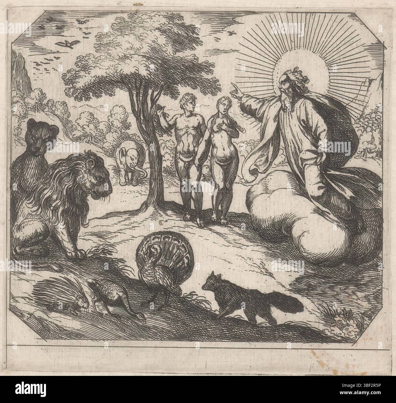 Fox, Maerten de, Bruyn, Nicolaes de, Vatican, Raphaël, Rome, Tempesta, Antonio, la création, Dieu interdit à Adam et Ève de manger l'arbre de la connaissance, estampillé au verso, Adam et Ève se tiennent près de l'arbre de la connaissance au paradis. À droite, Dieu flotte le Père sur un nuage. Il interdit à Adam et Ève de manger de l'arbre. Gauche différents animaux., impression, hauteur 116 mm, largeur 123 mm, italien, 1555 - 1630-08-05, graveur, 1565 - 1630, papier, gravure, conception de travaux, 1483-04-07 - 1520-04-07, après conception, Sud-néerlandais, 1571 - 1656-10, après impression de, 1532 - 1603-12-04 Banque D'Images