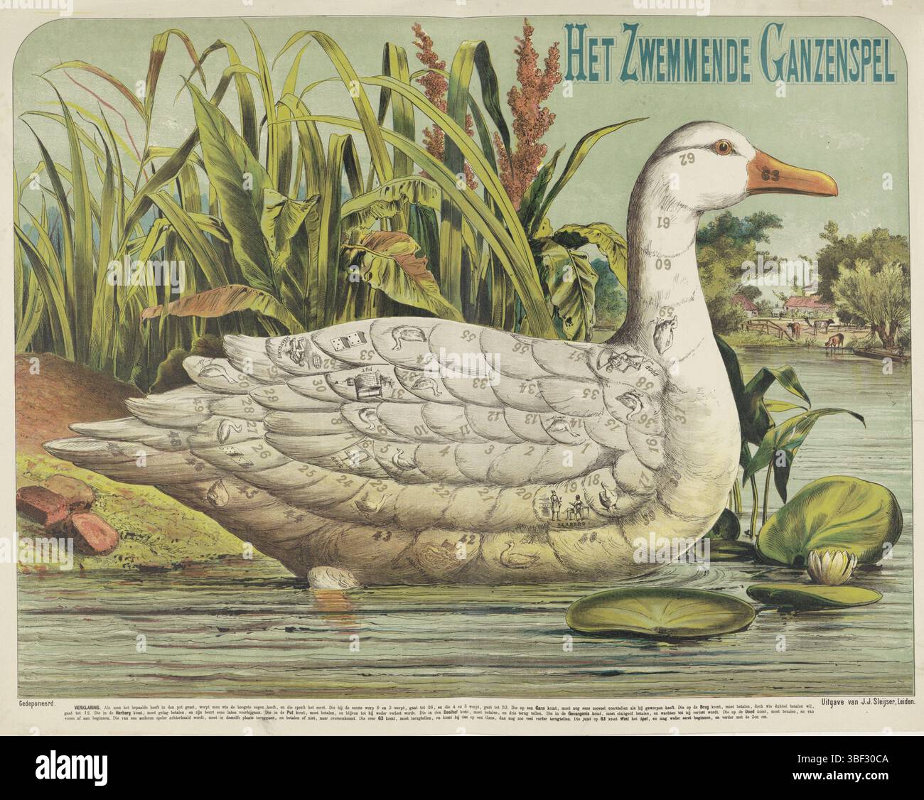 Leiden, Sleijser, J.J., le jeu d'oie de natation, Leiden, imprimé, jeu de Gooseboard sous la forme d'une oie de natation, avec 63 boîtes numérotées sur son corps. Les règles dans la marge inférieure., impression, impression folklorique, plateau de jeu, plateau de jeu, planche à papier, impressions, impressions folkloriques, verso - estampillé, hauteur 533 mm, largeur 692 mm, publication (événement), publication, Néerlandais, éditeur, 1880 - 1880, papier, lithographie couleur (procédé), typographie, impression de livret, imprimeur, imprimeur Banque D'Images