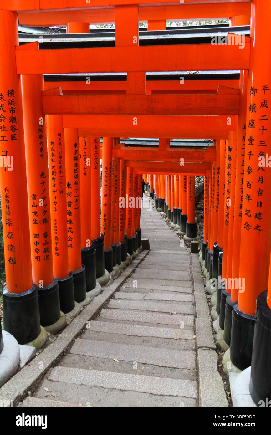Les portes Vermilion torii forment un chemin sacré au sanctuaire Fushimi Inari de Kyoto, symbole intemporel de la culture et de la tradition spirituelle japonaises. Avril 2018 Banque D'Images