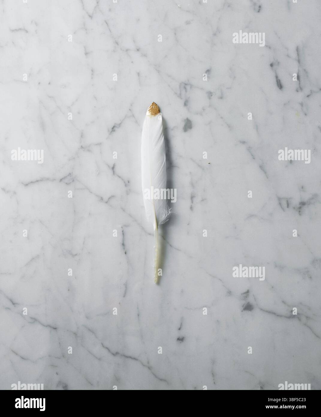 Une plume blanche avec une pointe peinte or sur une surface lisse en marbre. Banque D'Images