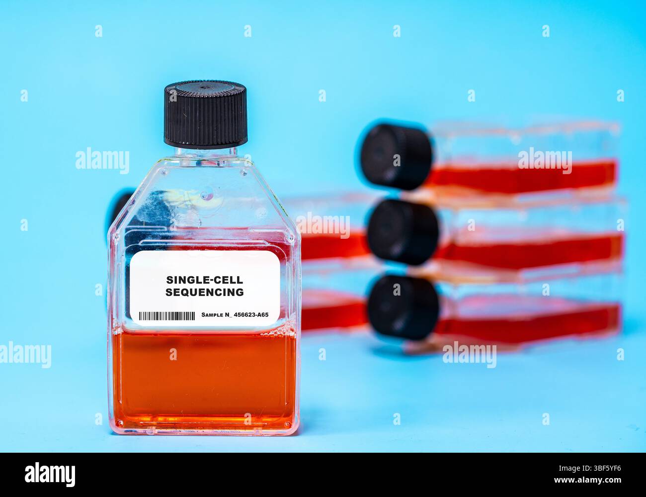 Séquençage monocellulaire. Analyser le matériel génétique de cellules individuelles pour comprendre l'hétérogénéité au sein d'une culture ou d'un tissu. Technologies de culture cellulaire. Banque D'Images