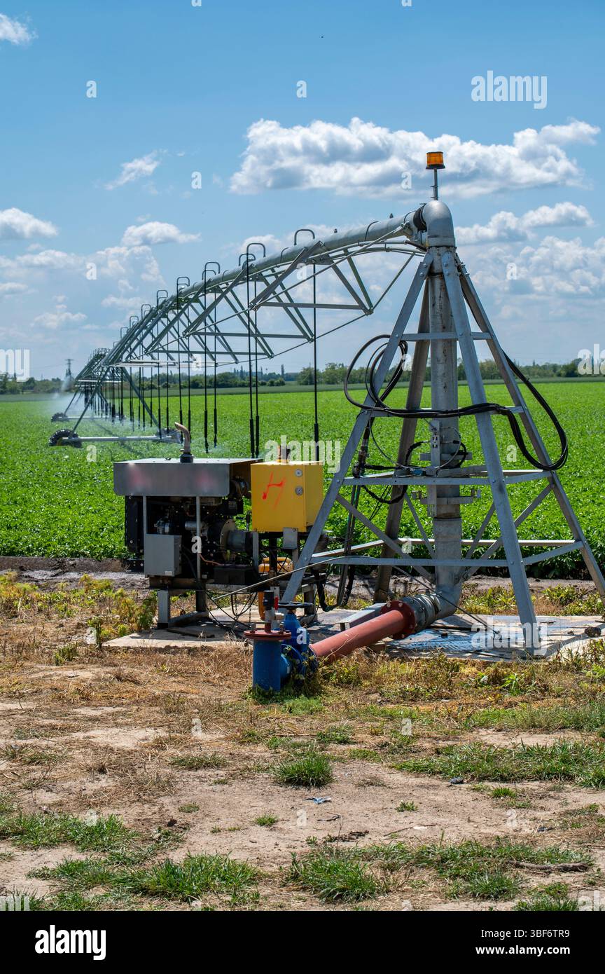 Système d'irrigation à pivot central dans le champ agricole de pommes de terre. Champ de pommes de terre irrigué par un système d'arrosage pivotant. Banque D'Images