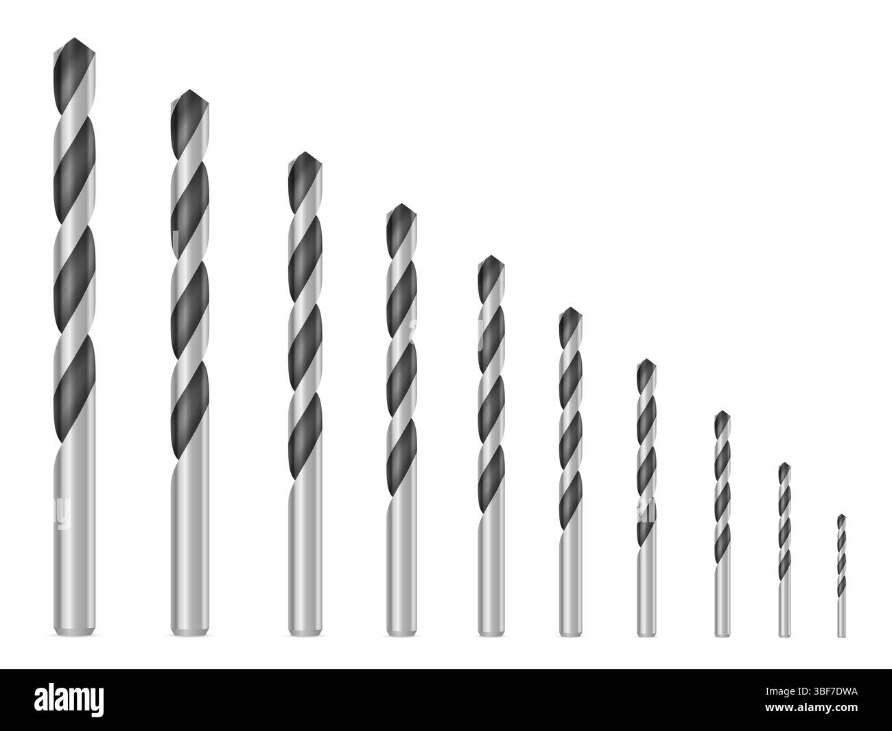 Foret réglé sur un fond blanc. Illustration vectorielle. Banque D'Images