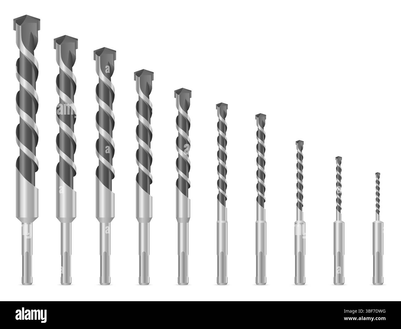 Foret réglé sur un fond blanc. Illustration vectorielle. Banque D'Images
