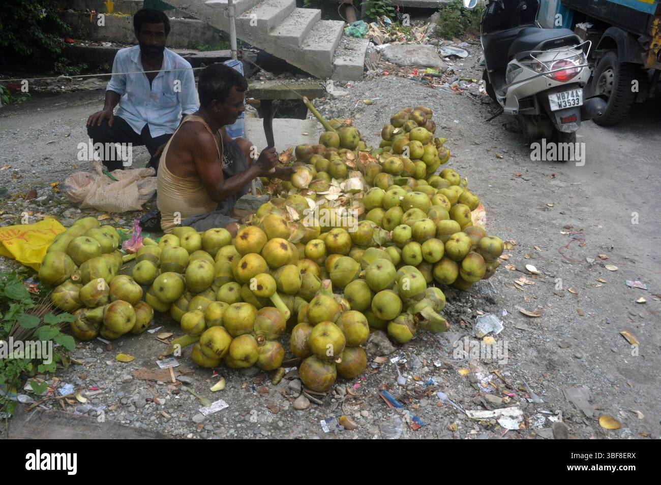 Siliguri, Bengale occidental, Inde. 31 mai 2025. Un vendeur indien de bord de route assiste les clients comme il vend Ice Apple ou Wine Palm de son lieu de vente temporaire de bord de route à Siliguri.Ice Apple ou Wine Palm est très popluar nourriture pendant la saison estivale. (Crédit image : © Diptendu Dutta/ZUMA Press Wire) USAGE ÉDITORIAL SEULEMENT ! Non destiné à UN USAGE commercial ! Crédit : ZUMA Press, Inc/Alamy Live News Banque D'Images Siliguri, Bengale occidental, Inde. 31 mai 2025. Un vendeur indien de bord de route assiste les clients comme il vend Ice Apple ou Wine Palm de son lieu de vente temporaire de bord de route à Siliguri.Ice Apple ou Wine Palm est très popluar nourriture pendant la saison estivale. (Crédit image : © Diptendu Dutta/ZUMA Press Wire) USAGE ÉDITORIAL SEULEMENT ! Non destiné à UN USAGE commercial ! Crédit : ZUMA Press, Inc/Alamy Live News Banque D'Images