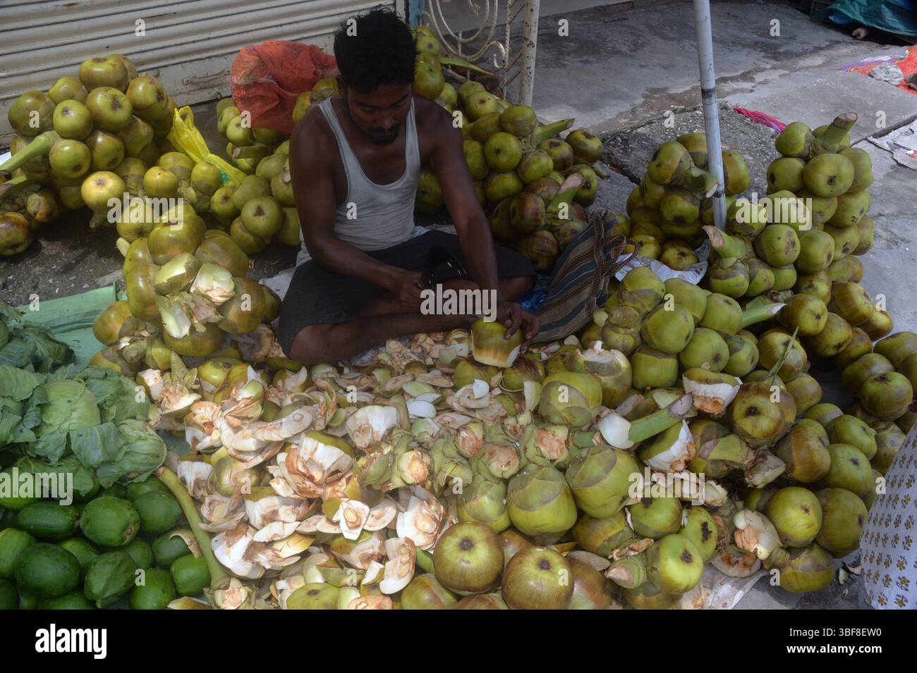 Siliguri, Bengale occidental, Inde. 31 mai 2025. Un vendeur indien de bord de route assiste les clients comme il vend Ice Apple ou Wine Palm de son lieu de vente temporaire de bord de route à Siliguri.Ice Apple ou Wine Palm est très popluar nourriture pendant la saison estivale. (Crédit image : © Diptendu Dutta/ZUMA Press Wire) USAGE ÉDITORIAL SEULEMENT ! Non destiné à UN USAGE commercial ! Crédit : ZUMA Press, Inc/Alamy Live News Banque D'Images Siliguri, Bengale occidental, Inde. 31 mai 2025. Un vendeur indien de bord de route assiste les clients comme il vend Ice Apple ou Wine Palm de son lieu de vente temporaire de bord de route à Siliguri.Ice Apple ou Wine Palm est très popluar nourriture pendant la saison estivale. (Crédit image : © Diptendu Dutta/ZUMA Press Wire) USAGE ÉDITORIAL SEULEMENT ! Non destiné à UN USAGE commercial ! Crédit : ZUMA Press, Inc/Alamy Live News Banque D'Images