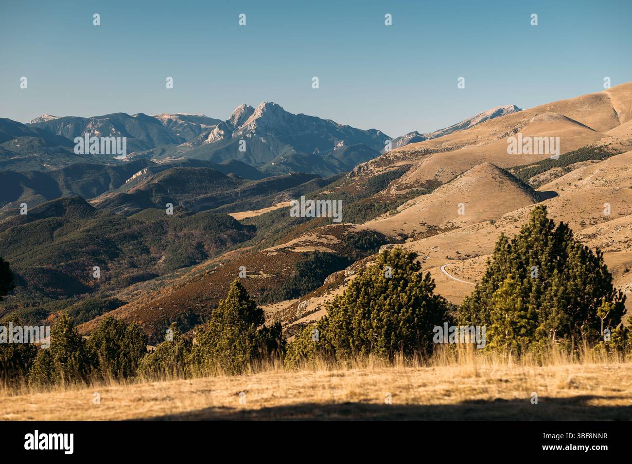 Les pics aigus des Pyrénées s'élèvent au-dessus des contreforts vallonnés avec des arbres clairsemés et des routes sinueuses Banque D'Images