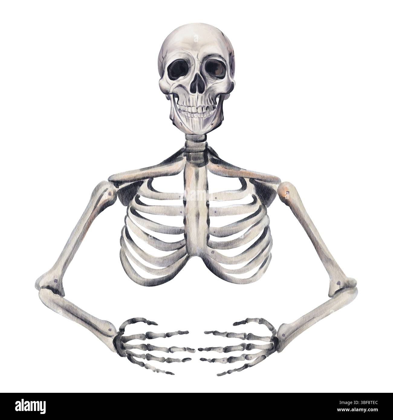 Squelette humain. os et mains et crâne. dessin anatomique. Décoration d'Halloween. squelette vintage gothique romantique. Illustration aquarelle. Main Banque D'Images