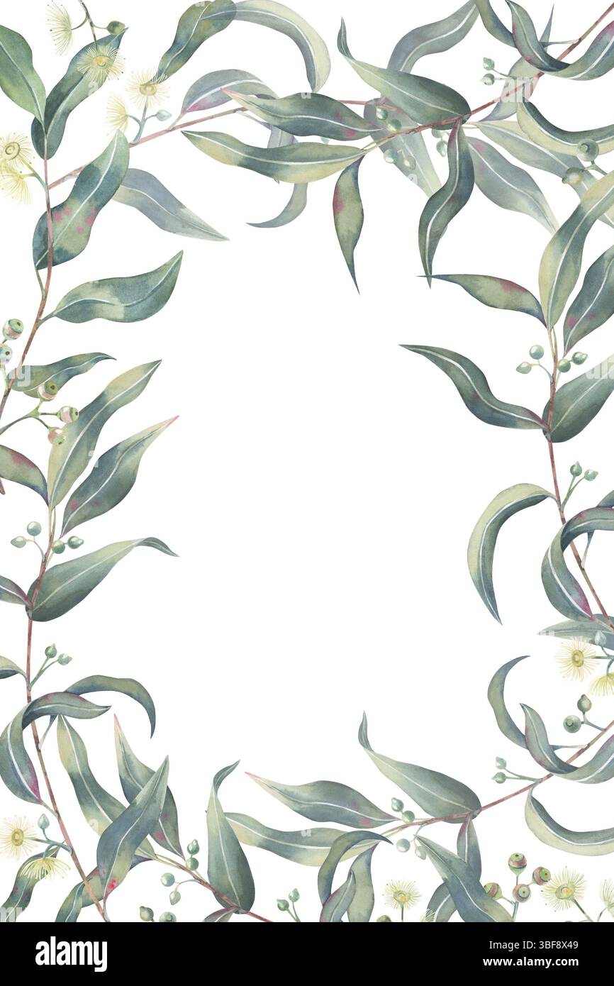Illustration aquarelle d'un cadre délicat de couronne d'eucalyptus sur un fond blanc. Feuilles d'eucalyptus et fleurs dessinées à la main pour invitations, cartes Banque D'Images