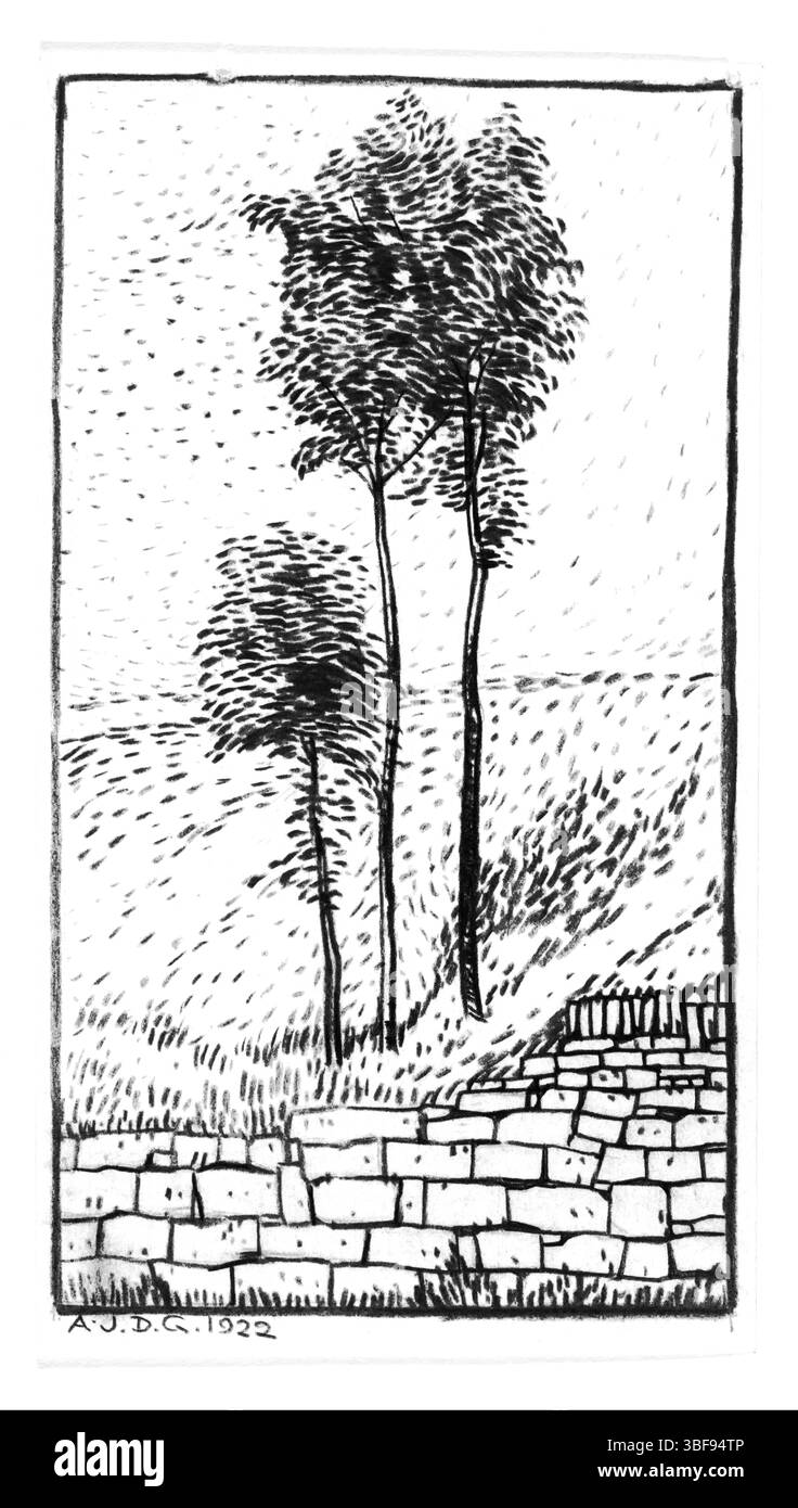 Dessin à la craie noire de Julie de Graag (1922). Arbres Art Nouveau près d'un mur de pierre. Collection Rijksmuseum. Idéal pour les études de la nature. Domaine public. Banque D'Images