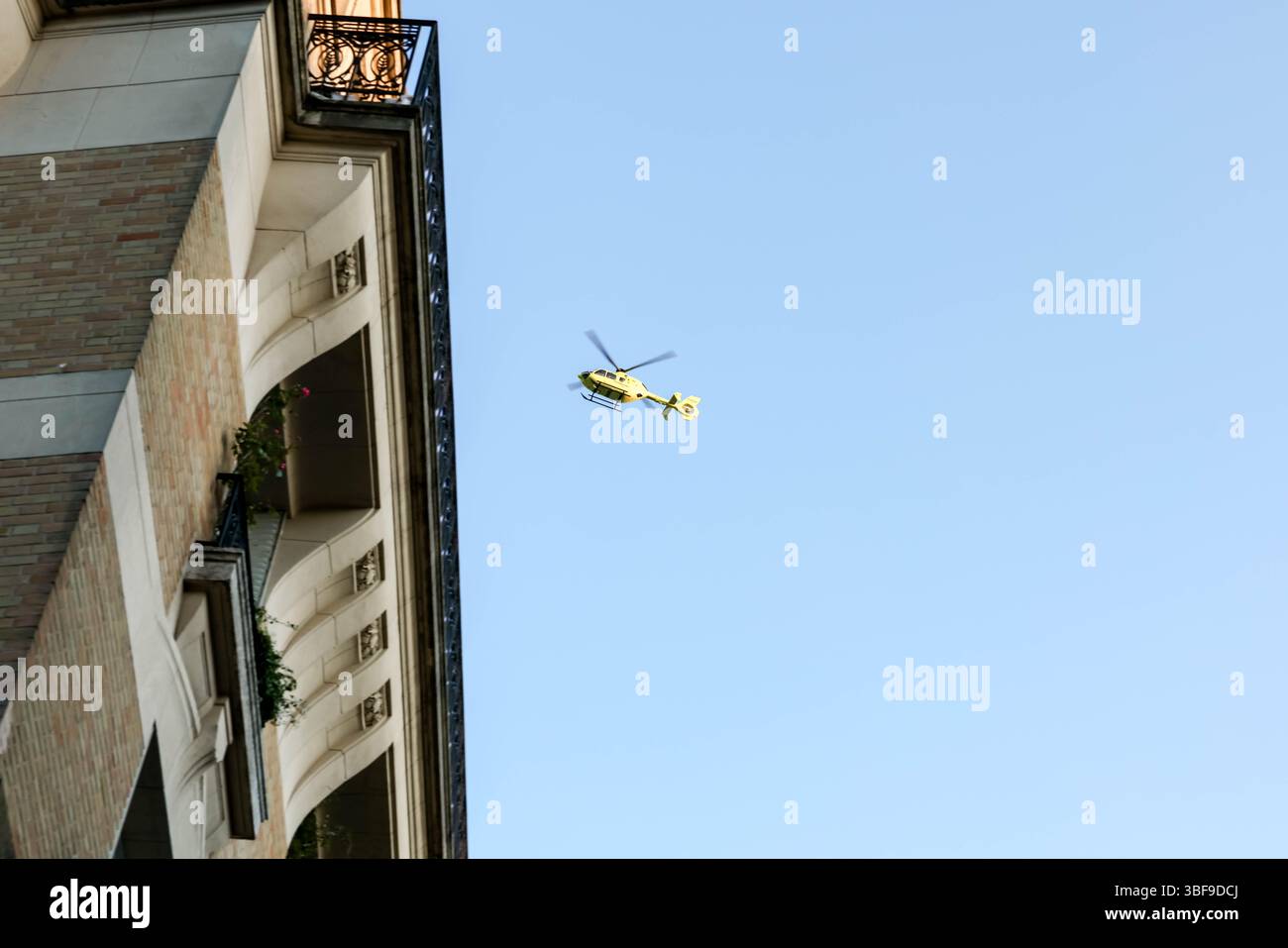 Un hélicoptère jaune vif est capturé à mi-vol contre un ciel bleu vaste et clair, avec les extrémités des branches d'arbres visibles au premier plan, convoyeurs Banque D'Images