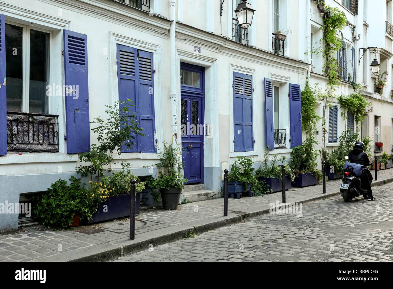 Une scène de rue parisienne par excellence présentant une architecture classique avec des volets violets éclatants distinctifs, des plantes en pot et un pavé pittoresque Banque D'Images