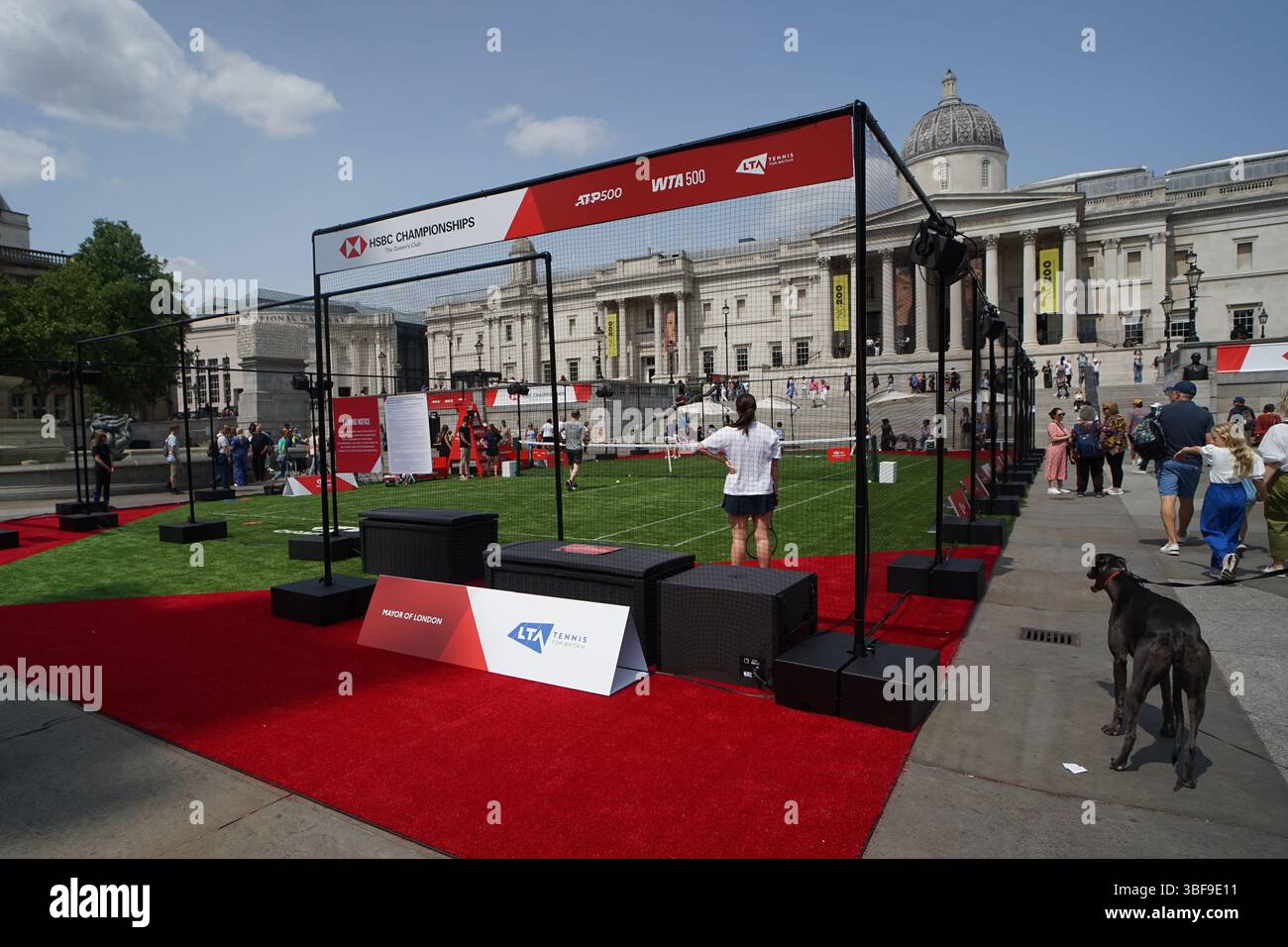LONDRES, ROYAUME-UNI. 31 mai 2025. HSBC sponsorise les championnats HSBC, ce qui en fait la première fois depuis plus de 50 ans que le tennis féminin est de retour au Queen's Club de Trafalgar Square. Préparation des Championnats HSBC féminins à Londres, Royaume-Uni. (Photo de 李世惠/Voir Li/Picture Capital) crédit : Voir Li/Picture Capital/Alamy Live News Banque D'Images