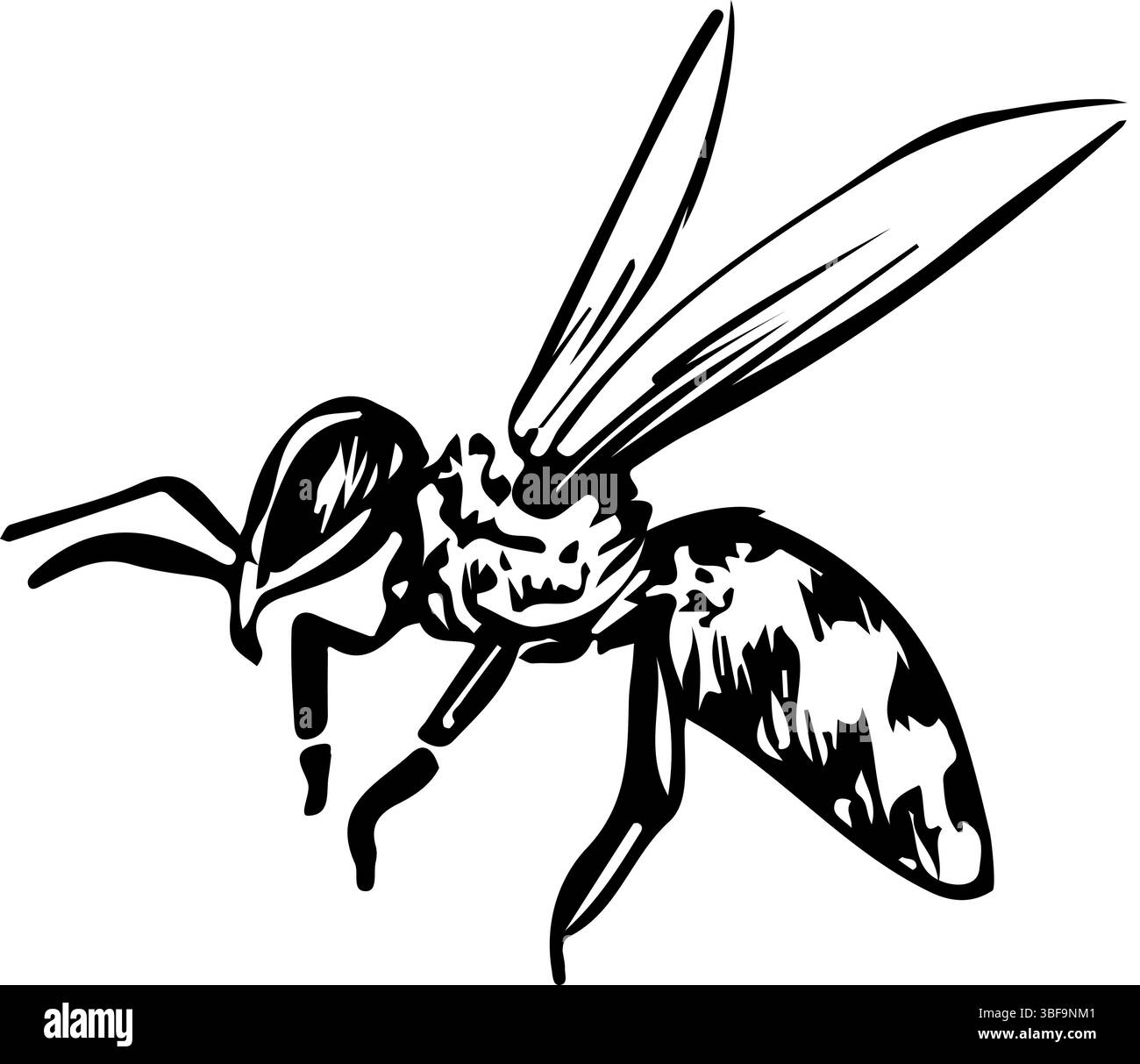 L'abeille à miel. Graphiques vectoriels. Illustration dessinée à la main en noir et blanc. Sur fond blanc. Idéal pour les autocollants, les bannières, les affiches et les emballages Illustration de Vecteur