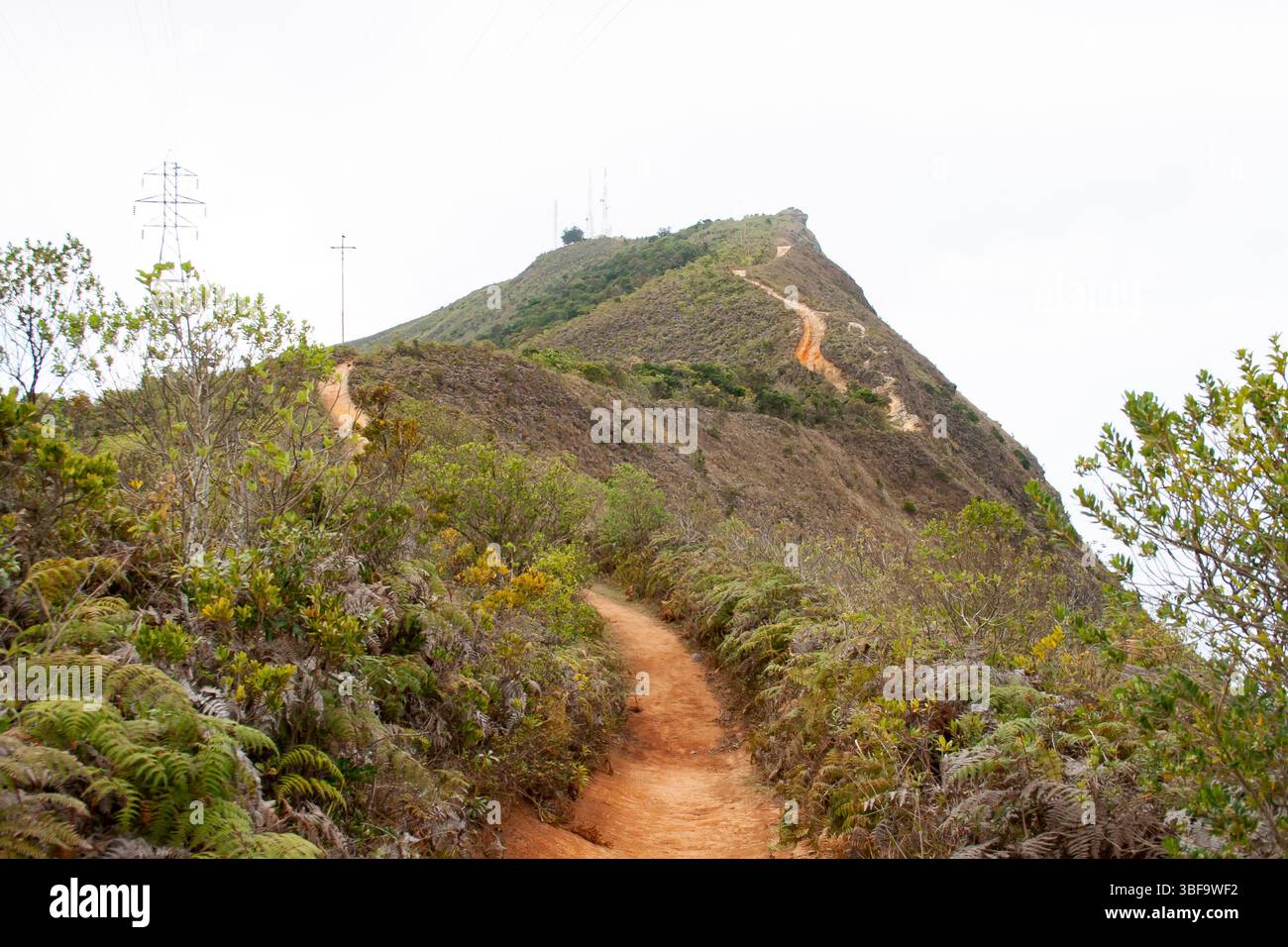 Route montagneuse de la jungle à Picacho de Galipan El Avila Waraira Repano Caracas Venezuela. Banque D'Images