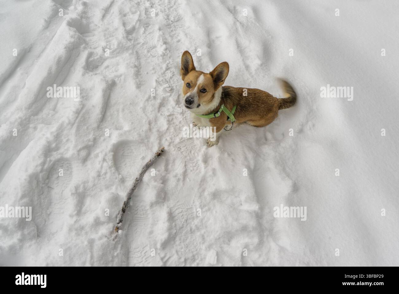 Jetez-le ! Banque D'Images