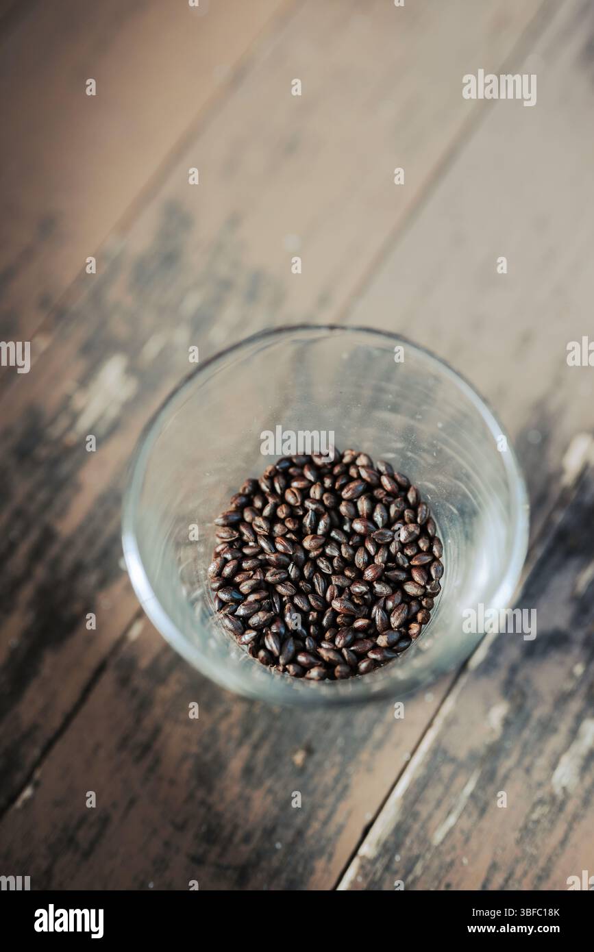 Grains de matières premières de bière Banque D'Images