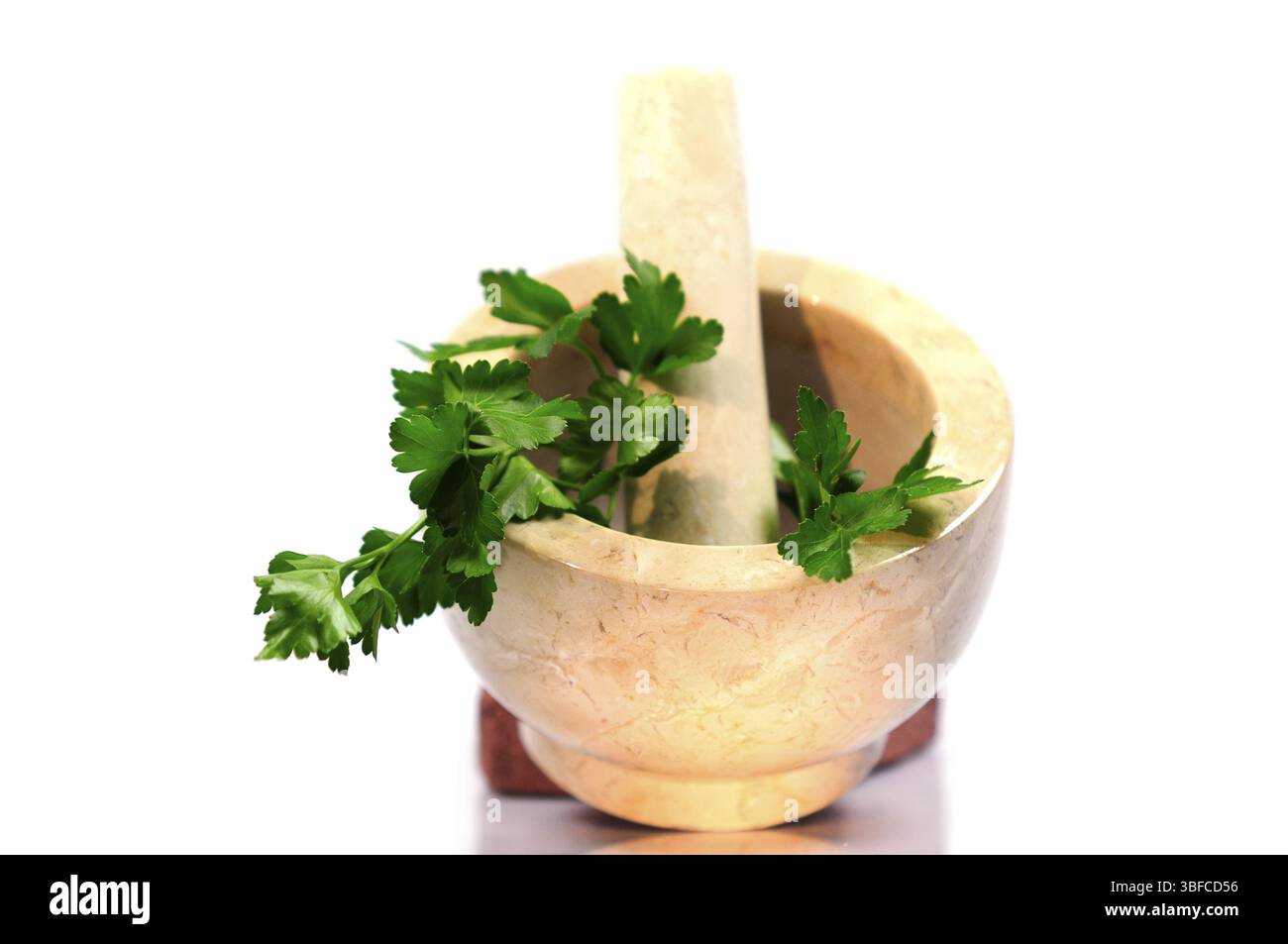 Pilon et mortier (pistillum et mortarium) Banque D'Images