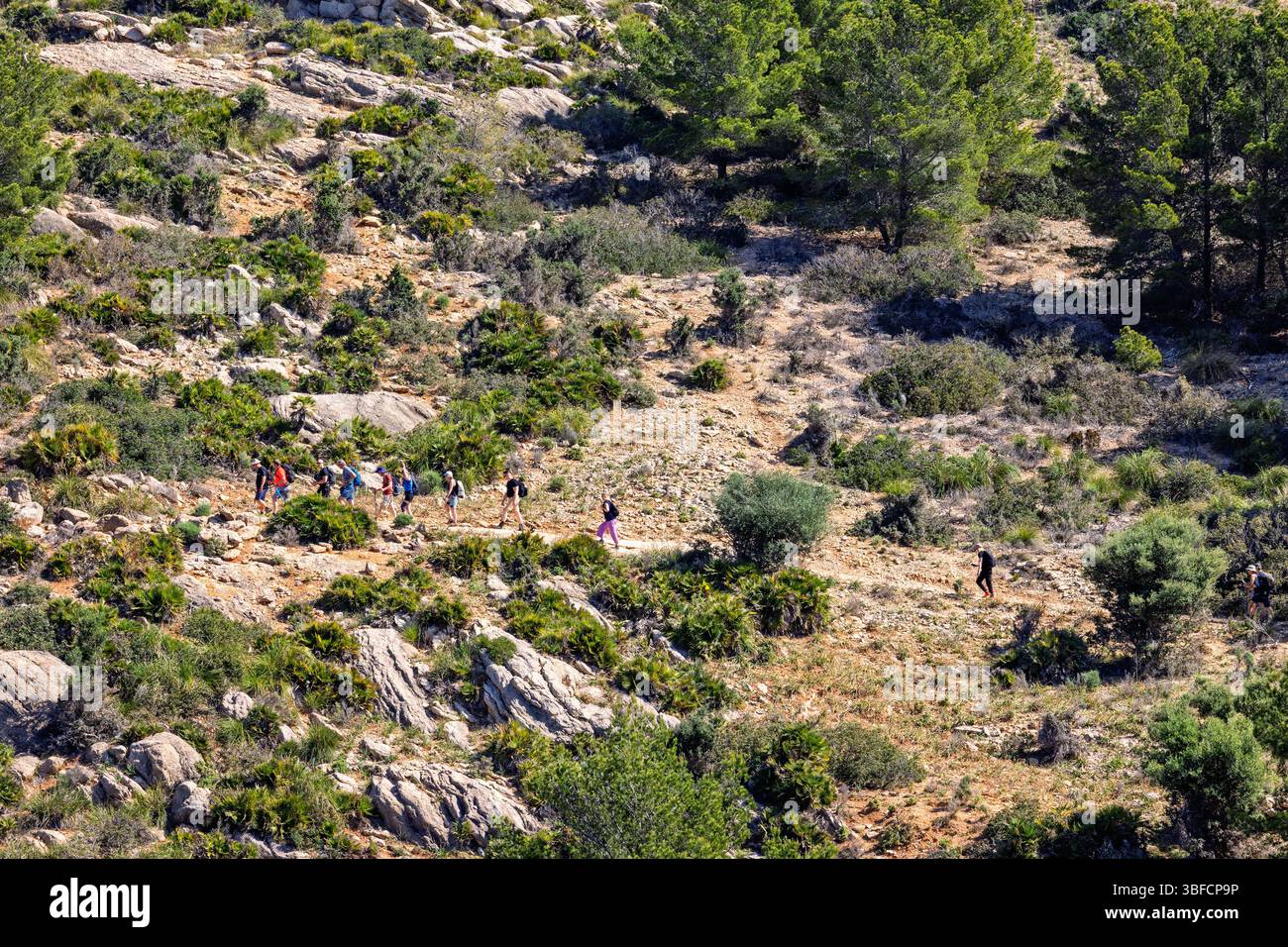 Randonneurs marchant sur une montée sur un chemin de montagne dans un arbuste Banque D'Images