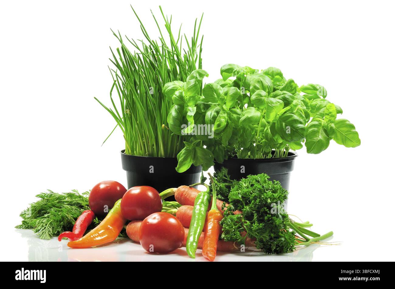 Légumes (Vegetabilis) Banque D'Images